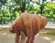 フランス　パン屋　クロワッサン