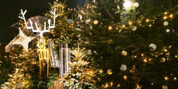 コンコルド広場クリスマスマーケット
