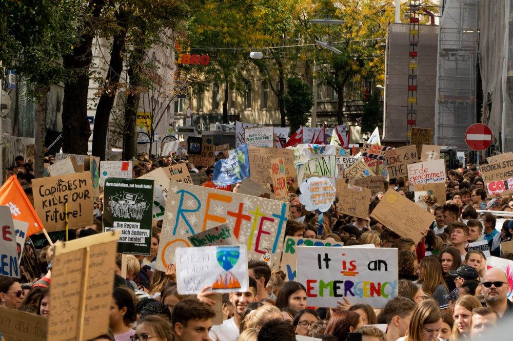 environmental protection, show me, action, protests, demonstration, school strike, climate protest, climate protection, strike, students strike, climate change, protest, climate demo, sustainability, climate strike, billboard, sign, student movement, fridays, types of die, for, fridayfor future, demonstration, climate protest, climate protest, strike, climate change, climate change, protest, protest, protest, protest, protest, sustainability